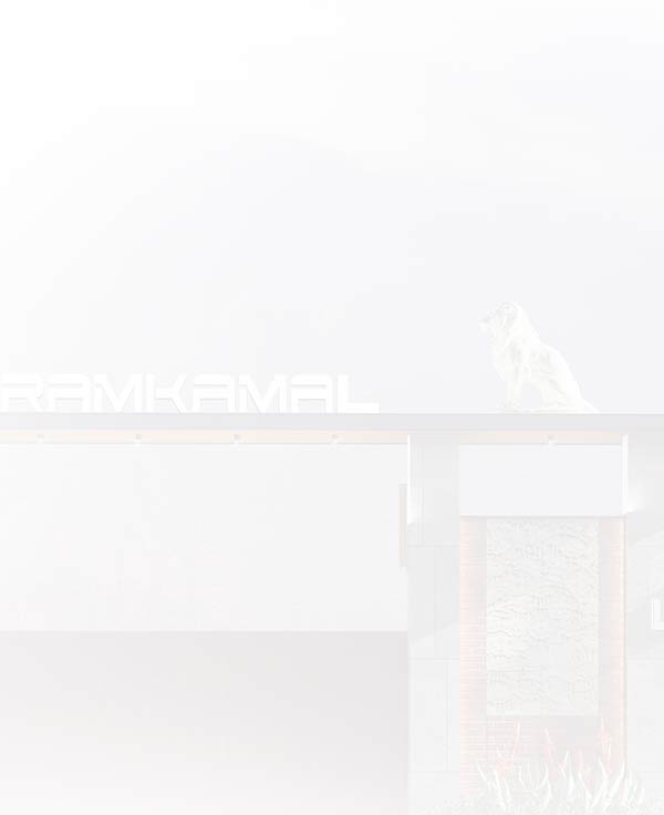 Founder background